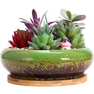 ARTKETTY Succulent Plant Pot, 18.5CM Large Bonsai Pot with Tray Ceramic Succulent Pot with Drainage Hole Shallow Cactus Flower Pots for Indoor/Outdoor Plants Glazed Planter Bowl, Green ARTKETTY Succulent Plant Pot, 18.5CM Large Bonsai Pot with Tray Ceramic Succulent Pot with Drainage Hole Shallow Cactus Flower Pots for Indoor/Outdoor Plants Glazed Planter Bowl, Green