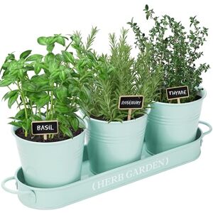 PERFNIQUE Herb Garden Planter, Farmhouse Plant Pots, Windowsill Herb Garden Kit with Tray, Window Pots for Indoor/Outdoor Plants (Mint) PERFNIQUE Herb Garden Planter, Farmhouse Plant Pots, Windowsill Herb Garden Kit with Tray, Window Pots for Indoor/Outdoor Plants (Mint)