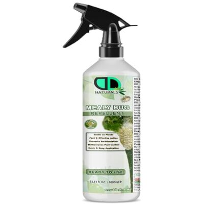 DD teck 100% Natural Mealy Bug Repellent & Killer Spray – Fast-Acting Organic Plant Protection – Essential Oil Insecticide for Houseplants & Gardens – Pet Safe, Eco-Friendly (1000ml Spray) DD teck 100% Natural Mealy Bug Repellent & Killer Spray – Fast-Acting Organic Plant Protection – Essential Oil Insecticide for Houseplants & Gardens – Pet Safe, Eco-Friendly (1000ml Spray)