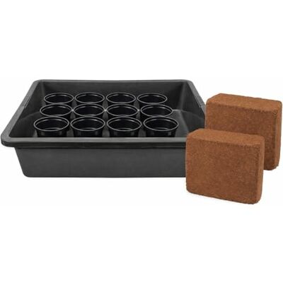 Muddy Hands 12 x 1 Litre Plant Pots with Potting Tray & 2 Coco Coir Compost Bricks Seed Germination Kit Indoor Spring Seed Starting Set for Flowers, Herbs & Vegetables Muddy Hands 12 x 1 Litre Plant Pots with Potting Tray & 2 Coco Coir Compost Bricks Seed Germination Kit Indoor Spring Seed Starting Set for Flowers, Herbs & Vegetables