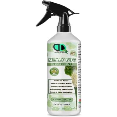 DD teck 100% Natural Mealy Bug Repellent Spray – Organic Plant Protection for Houseplants, Vegetables & Gardens – Eco-Friendly, Fast-Acting Pest Control (500ml Spray) DD teck 100% Natural Mealy Bug Repellent Spray – Organic Plant Protection for Houseplants, Vegetables & Gardens – Eco-Friendly, Fast-Acting Pest Control (500ml Spray)