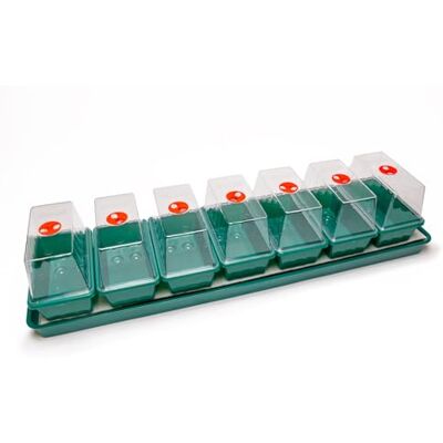 AMOS Eezy Grow Self-Watering Propagator – Effortless Seed Germination & Cutting Propagation Indoor with Automatic Capillary Watering System & Large Reservoir for Healthy Plant Growth AMOS Eezy Grow Self-Watering Propagator – Effortless Seed Germination & Cutting Propagation Indoor with Automatic Capillary Watering System & Large Reservoir for Healthy Plant Growth