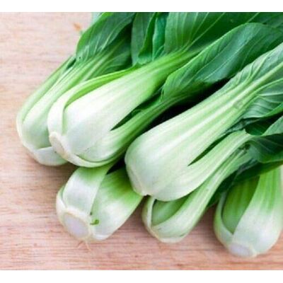 RTR_MDH 200 Seeds of Vegetable Pak Choi F1 Hanakan RTR_MDH 200 Seeds of Vegetable Pak Choi F1 Hanakan