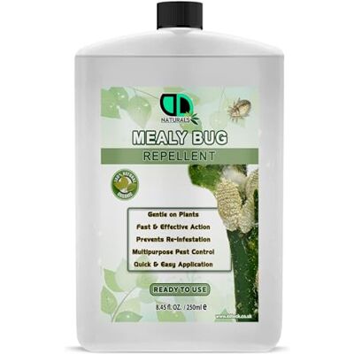 DD teck Fast-Acting Mealybug Insect Control Repellent – Effective Bug Killer for Houseplants – Indoor & Outdoor Plant Protection Against Mealybugs and Other Common Pests (250ml Postal) DD teck Fast-Acting Mealybug Insect Control Repellent – Effective Bug Killer for Houseplants – Indoor & Outdoor Plant Protection Against Mealybugs and Other Common Pests (250ml Postal)