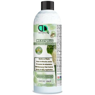 DD teck 100% Natural Mealy Bug Repellent Spray – Organic Plant Multipurpose Protection for Houseplants, Vegetables & Gardens – Eco-Friendly, Fast-Acting Pest Control (250ml) DD teck 100% Natural Mealy Bug Repellent Spray – Organic Plant Multipurpose Protection for Houseplants, Vegetables & Gardens – Eco-Friendly, Fast-Acting Pest Control (250ml)