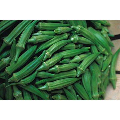 RTR_MDH 300 Seeds of Vegetable Okra Clemsons Spineless RTR_MDH 300 Seeds of Vegetable Okra Clemsons Spineless