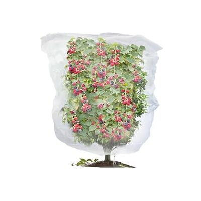 NPLSEO 4 PCS Fruit Tree Netting Bird Protection, Garden Netting Plant Covers,0.8x1cm Bird Nettings for Garden, Insect Mesh Net with Drawstring, Plants Fine Mesh Cover Nets for Small Bush Vegetables Net NPLSEO 4 PCS Fruit Tree Netting Bird Protection, Garden Netting Plant Covers,0.8x1cm Bird Nettings for Garden, Insect Mesh Net with Drawstring, Plants Fine Mesh Cover Nets for Small Bush Vegetables Net