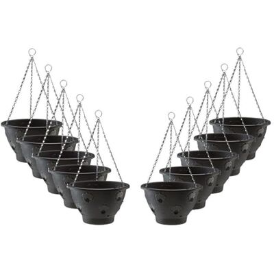 Thompson & Morgan Hanging Basket Garden Planter Plant Container with Water Reservoir for Flowers, Vegetables and Fruits (10 Pack, 30cm) Thompson & Morgan Hanging Basket Garden Planter Plant Container with Water Reservoir for Flowers, Vegetables and Fruits (10 Pack, 30cm)