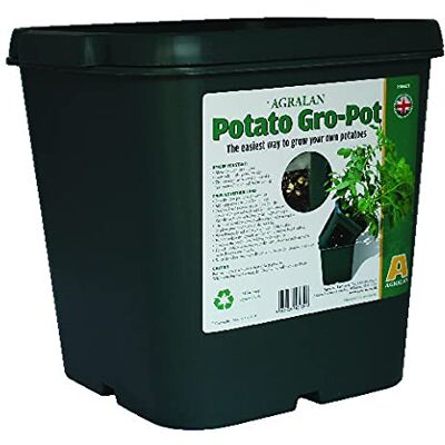 Agralan Potato Gro-Pot Reuseable Alternative to Potato Bag Ideal Patio Planter For Growing Potatoes Easily UK Made From 100% Recycled Plastic Lightweight & Weather Resistant Pack of 3 Agralan Potato Gro-Pot Reuseable Alternative to Potato Bag Ideal Patio Planter For Growing Potatoes Easily UK Made From 100% Recycled Plastic Lightweight & Weather Resistant Pack of 3