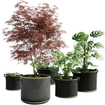 Avilia 5 x Breathable Fabric Garden Containers with Strong Handles Ideal for Vegetable Garden, Flowers and Small Trees, Easy to Move and Natural Drainage for Healthy Plant Growth Avilia 5 x Breathable Fabric Garden Containers with Strong Handles Ideal for Vegetable Garden, Flowers and Small Trees, Easy to Move and Natural Drainage for Healthy Plant Growth