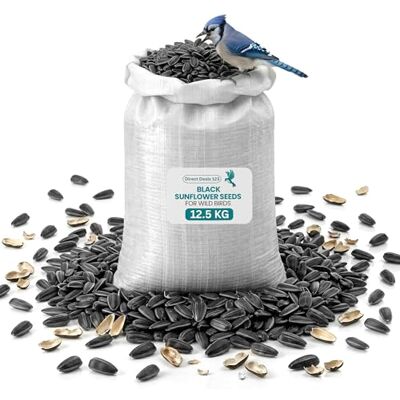direct deals 123 12.5 KG Black Sunflower Seeds for Wild Bird Food, Sunflower Seeds for Bird Premium High Oil Natural No Husk Clean Bird Feed for Outside Garden Parrots Sparrows Daily Nutrition Protein Rich Seed direct deals 123 12.5 KG Black Sunflower Seeds for Wild Bird Food, Sunflower Seeds for Bird Premium High Oil Natural No Husk Clean Bird Feed for Outside Garden Parrots Sparrows Daily Nutrition Protein Rich Seed