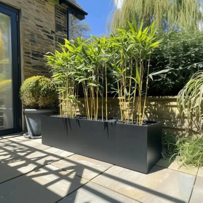 Tulipy 1.2m/1m/75cm/70cm Zinc Galvanised Trough Planter No Assembly Needed Lightweight (Matte Black, L120cm x W40cm x H40cm) Tulipy 1.2m/1m/75cm/70cm Zinc Galvanised Trough Planter No Assembly Needed Lightweight (Matte Black, L120cm x W40cm x H40cm)