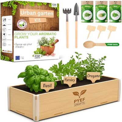 PYEF CRAFTS Indoor Herb Garden Kit Grow Your Own Herbs Kit Indoor Herb Seeds Basil, Parsley, Oregano and Coriander Growing Set Indoors for Kitchen Windowsill Culinary Planter Gift Set PYEF CRAFTS Indoor Herb Garden Kit Grow Your Own Herbs Kit Indoor Herb Seeds Basil, Parsley, Oregano and Coriander Growing Set Indoors for Kitchen Windowsill Culinary Planter Gift Set