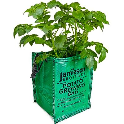 JBA Seed Potatoes 10 x Potato Planter Bags suitable for growing all Vegetables all year round 18"x12"x12" Has Drainage Holes and Carry Handles- By Jamieson Brothers JBA Seed Potatoes 10 x Potato Planter Bags suitable for growing all Vegetables all year round 18"x12"x12" Has Drainage Holes and Carry Handles- By Jamieson Brothers
