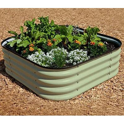 Thompson & Morgan Original Veggie Bed Sage Garden Planting Mist Green Vegetable Planter Easy to Grow our Own 2x Veg Bed by Thompson and Morgan. (Mist Green) 40 x 130 x 90cm Thompson & Morgan Original Veggie Bed Sage Garden Planting Mist Green Vegetable Planter Easy to Grow our Own 2x Veg Bed by Thompson and Morgan. (Mist Green) 40 x 130 x 90cm