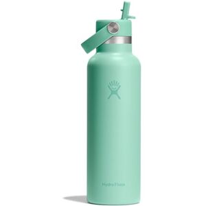 Hydro Flask – Standard Flex Straw Cap 621 ml (21 oz) Bottle – Stainless Steel, Leakproof, Cupholder Compatible – Insulated Cold 24 Hrs – Mermaid Green Hydro Flask – Standard Flex Straw Cap 621 ml (21 oz) Bottle – Stainless Steel, Leakproof, Cupholder Compatible – Insulated Cold 24 Hrs – Mermaid Green