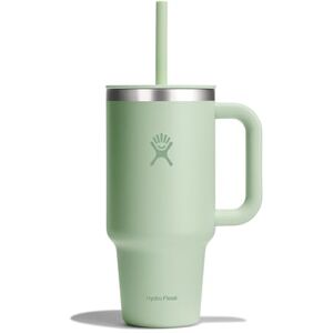 Hydro Flask Travel Tumbler 946 ml (32 oz) with Closable Press-In Straw Lid Stainless Steel Double Wall Vacuum Insulated Splash resistant lid Aloe Hydro Flask Travel Tumbler 946 ml (32 oz) with Closable Press-In Straw Lid Stainless Steel Double Wall Vacuum Insulated Splash resistant lid Aloe