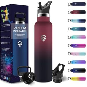 HoneyHolly 1 Litre BPA-Free Thermal Bottle Double-Walled Vacuum Insulated Water Bottle 18/8 Stainless Steel Water Bottle with Straw for Gym Sports Bike HoneyHolly 1 Litre BPA-Free Thermal Bottle Double-Walled Vacuum Insulated Water Bottle 18/8 Stainless Steel Water Bottle with Straw for Gym Sports Bike