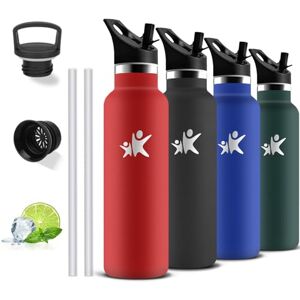 Grsta Insulated Water Bottle, 750 ml, BPA Free, Water Bottle with Straw, Leakless, Thermal Bottle, 18/8 Stainless Steel, Thermal Water Bottles for Camping, Offices, Travel, Gym Grsta Insulated Water Bottle, 750 ml, BPA Free, Water Bottle with Straw, Leakless, Thermal Bottle, 18/8 Stainless Steel, Thermal Water Bottles for Camping, Offices, Travel, Gym