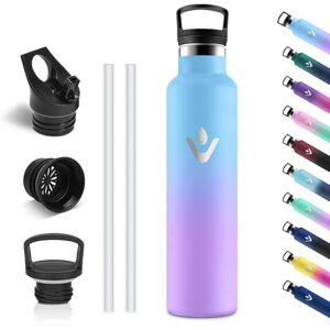 Vikastar Stainless Steel Thermos Bottle 1 Litre BPA-Free Drinking Bottle with Straw for School Sports Bike Camping Sky Blue & Purple Vikastar Stainless Steel Thermos Bottle 1 Litre BPA-Free Drinking Bottle with Straw for School Sports Bike Camping Sky Blue & Purple