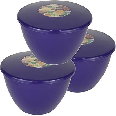 Just Pudding Basins Pudding Basin and Lid Pack of 3 Plastic Pudding Basins Medium to Large Sized Purple Food Safe Steaming Bowls 2 Pint Just Pudding Basins Pudding Basin and Lid Pack of 3 Plastic Pudding Basins Medium to Large Sized Purple Food Safe Steaming Bowls 2 Pint