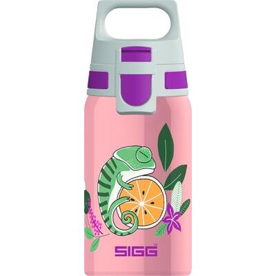 Sigg Stainless Steel Kids Water Bottle Shield One Suitable For Carbonated Beverages Leakproof Lightweight BPA Free 0.5L Sigg Stainless Steel Kids Water Bottle Shield One Suitable For Carbonated Beverages Leakproof Lightweight BPA Free 0.5L
