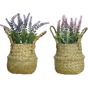 Decoris Everlands Assorted Color PE Lavender 16cm Diameter, 27cm Height Decoris Everlands Assorted Color PE Lavender 16cm Diameter, 27cm Height