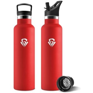 Motswedi Insulated Water Bottle, 750 ml, BPA Free, 2 Lids (Incl. Straw), Stainless Steel Water Bottle, 304 Stainless Steel, Ideal for Office, Camping, Gym Red Motswedi Insulated Water Bottle, 750 ml, BPA Free, 2 Lids (Incl. Straw), Stainless Steel Water Bottle, 304 Stainless Steel, Ideal for Office, Camping, Gym Red