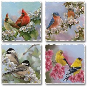 Counterart Thirstystone Spring Quartet Birds Multi-Image Absorbent Stone Tumbled Tile Coaster 4 Pack with Protective Cork Backing Manufactured in The USA Counterart Thirstystone Spring Quartet Birds Multi-Image Absorbent Stone Tumbled Tile Coaster 4 Pack with Protective Cork Backing Manufactured in The USA