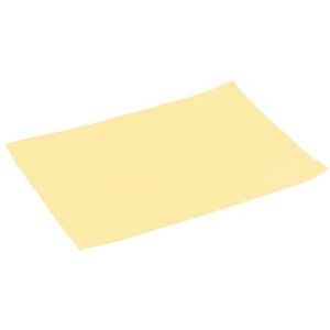 Avilia Woven Synthetic Fabric American Placemat 45 x 32 cm Elegant and Durable, Vanilla Colour for Any Occasion of Dining and Dinner Avilia Woven Synthetic Fabric American Placemat 45 x 32 cm Elegant and Durable, Vanilla Colour for Any Occasion of Dining and Dinner