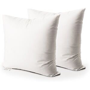 EDOW Throw Pillow Insert, Set Of 2 Hypoallergenic Down Alternative Polyester Square Form Decorative Pillow, Cushion,Sham Stuffer. 20x20 White EDOW Throw Pillow Insert, Set Of 2 Hypoallergenic Down Alternative Polyester Square Form Decorative Pillow, Cushion,Sham Stuffer. 20x20 White