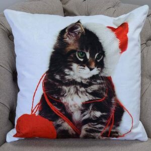 Rapport Home Photographic Kitten Cushion Cover Scatter Square Christmas Santa Hat W Rapport Home Photographic Kitten Cushion Cover Scatter Square Christmas Santa Hat W