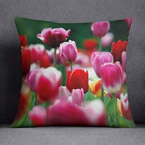 Bonamaison Decorative Cushion Cover, Cotton Polyester, Multicolor, 45X45 Bonamaison Decorative Cushion Cover, Cotton Polyester, Multicolor, 45X45