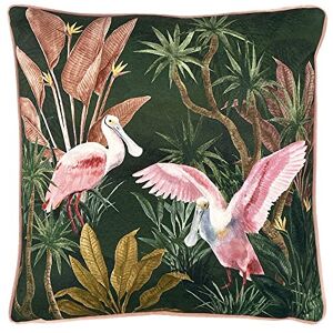Paoletti Platalea Cushion Cover – Tropical Birds Velvet Design (Green – 43 x 43 cm) Paoletti Platalea Cushion Cover – Tropical Birds Velvet Design (Green – 43 x 43 cm)