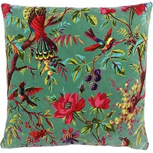 Paoletti Paradise Square Cushion Cover Aqua Colourful Bird Print Velvet Feel Cotton Fabric (50 x 50 cm, Pack of 1) Paoletti Paradise Square Cushion Cover Aqua Colourful Bird Print Velvet Feel Cotton Fabric (50 x 50 cm, Pack of 1)