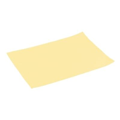 Avilia Woven Synthetic Fabric American Placemat 45 x 32 cm Elegant and Durable, Vanilla Colour for Any Occasion of Dining and Dinner Avilia Woven Synthetic Fabric American Placemat 45 x 32 cm Elegant and Durable, Vanilla Colour for Any Occasion of Dining and Dinner