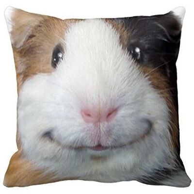 Jumei EHSaleStore Smiling Guinea Pig Cotton Square Throw Pillow Case Cushion Cover 18 x 18 inches Jumei EHSaleStore Smiling Guinea Pig Cotton Square Throw Pillow Case Cushion Cover 18 x 18 inches