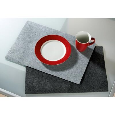 AlexandreHouse Pack of 16 Placemat, Rectangular, Felt, Light Gray, PU 16, L. 30cm, W. 45cm AlexandreHouse Pack of 16 Placemat, Rectangular, Felt, Light Gray, PU 16, L. 30cm, W. 45cm