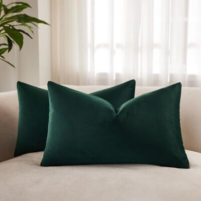 JUSPURBET Pack of 2 Velvet Soft Solid Decorative Throw Pillow Covers Cushion Case for Couch Bed 16x24 Inch Khaki Green JUSPURBET Pack of 2 Velvet Soft Solid Decorative Throw Pillow Covers Cushion Case for Couch Bed 16x24 Inch Khaki Green
