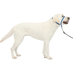 PetSafe Gentle Leader Headcollar, Large, Royal Blue PetSafe Gentle Leader Headcollar, Large, Royal Blue