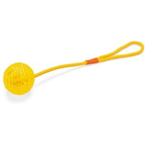 Karlie K&F GOOD4FUN TPR Ball with Rope Assorted Colours 7 cm Karlie K&F GOOD4FUN TPR Ball with Rope Assorted Colours 7 cm