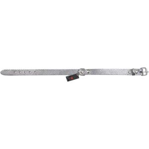 JACK AND VANILLA Monaco Model Silver Snake - Dog Collar JACK AND VANILLA Monaco Model Silver Snake - Dog Collar