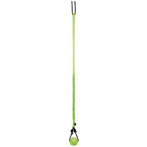 Jolly Pets Tree Tugger,Green Jolly Pets Tree Tugger,Green