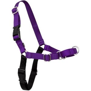 PetSafe Easy Walk dog harness. PetSafe Easy Walk dog harness.