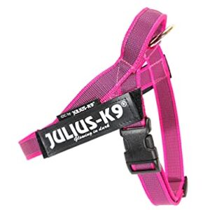 Julius-K9 , IDC Color & Gray Belt Harness, Size: S/Mini, Pink-Gray Julius-K9 , IDC Color & Gray Belt Harness, Size: S/Mini, Pink-Gray