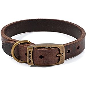 Ancol Latigo Flexible Stretchy Dog Collar Havana Leather Pet Training Accessory with Antique Gold Fixings Soft and Resilient Size 7-50-59 cm Ancol Latigo Flexible Stretchy Dog Collar Havana Leather Pet Training Accessory with Antique Gold Fixings Soft and Resilient Size 7-50-59 cm