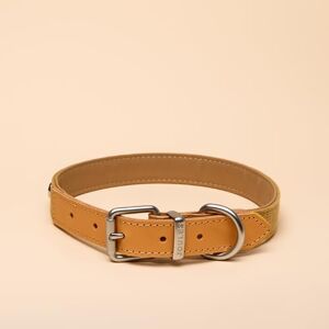 Rosewood x Joules Tan Dog Collar, Large – Durable Leather and Webbing Detail, Stylish Design with Brushed Metal Buckle, Premium Pet Accessory Rosewood x Joules Tan Dog Collar, Large – Durable Leather and Webbing Detail, Stylish Design with Brushed Metal Buckle, Premium Pet Accessory