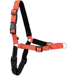 PetSafe Easy Walk Deluxe Dog Harness, No Pull Dog Harness – Perfect for Leash & Harness Training – Stops Pets from Pulling and Choking on Walks – Small, Rose PetSafe Easy Walk Deluxe Dog Harness, No Pull Dog Harness – Perfect for Leash & Harness Training – Stops Pets from Pulling and Choking on Walks – Small, Rose
