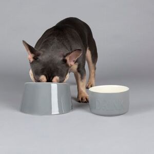 Scruffs Classic 2 Piece Flat Faced Dog Bowl & Water Bowl 20cm 18cm Grey Scruffs Classic 2 Piece Flat Faced Dog Bowl & Water Bowl 20cm 18cm Grey