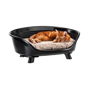 Ferplast Dog Bed & Cat Bed with Cotton Cushion, Raised Dog Bed, Plastic Dog Bed Small, Dog Bed Washable, Dog Basket, Cat Basket, Breathable & Antislip, THRONE 61,5 x 45 x h 26 cm, Black Ferplast Dog Bed & Cat Bed with Cotton Cushion, Raised Dog Bed, Plastic Dog Bed Small, Dog Bed Washable, Dog Basket, Cat Basket, Breathable & Antislip, THRONE 61,5 x 45 x h 26 cm, Black